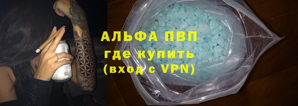 spice Богородицк