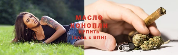 spice Богородицк