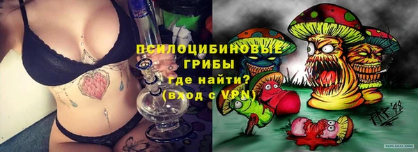 spice Богородицк