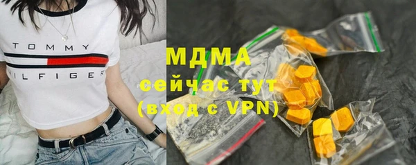 spice Богородицк