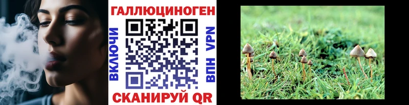 купить  цена  Оха  Псилоцибиновые грибы MAGIC MUSHROOMS 